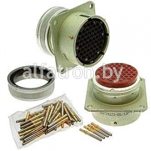 Разъем: СНЦ23-55/33Р-1-В